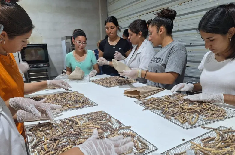 007f1ddbb7b41845e89cc245c57aeb2e_L